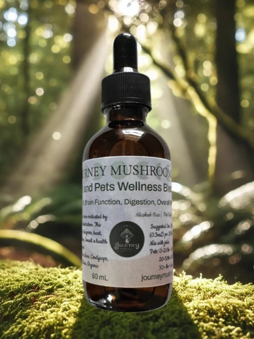 Kids and Pets Wellness Blend Journey Mushrooms