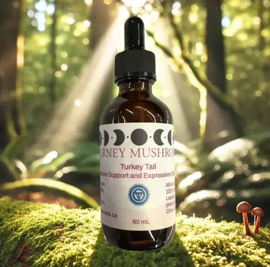 TurkeyTailmushroomTincture