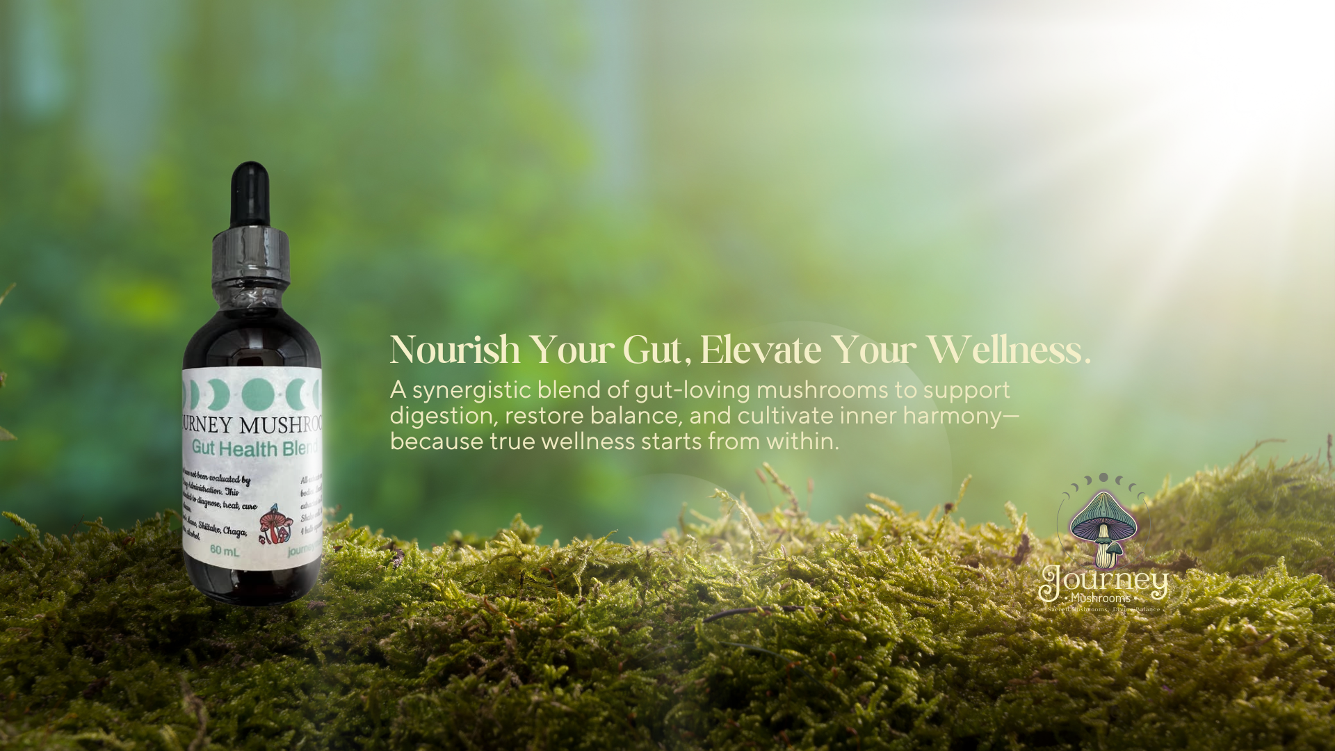 journey Mushroom tinctures gut health blend
