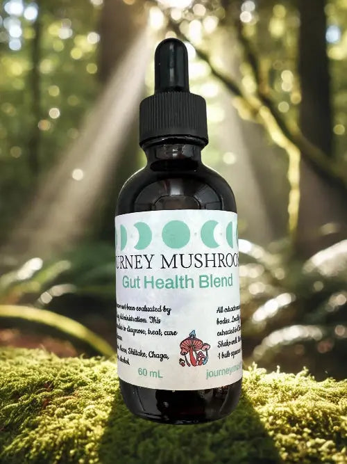 journey mushroom gut health mushroom tincture
