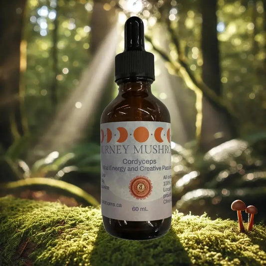 Chakra Balancing Bundle - Journey Mushrooms