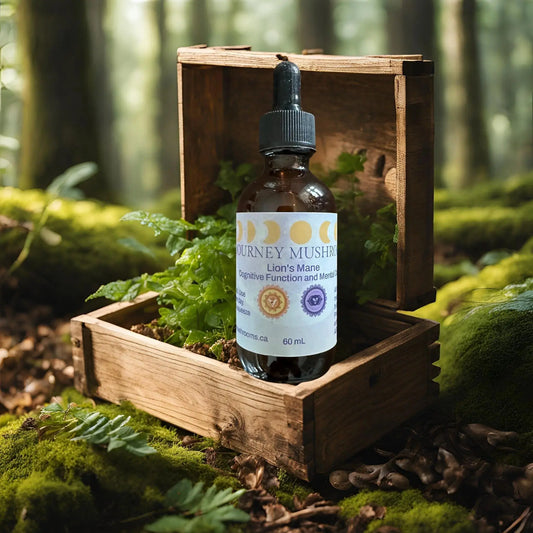 journey_mushrooms_tincture-lions man