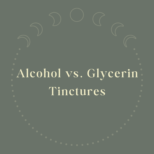 Alcohol vs. Glycerin Tinctures |Journey Mushroom Blog