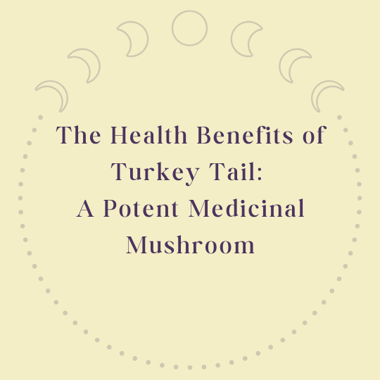 Turkey Tail Mushroom Benefits Blog Post