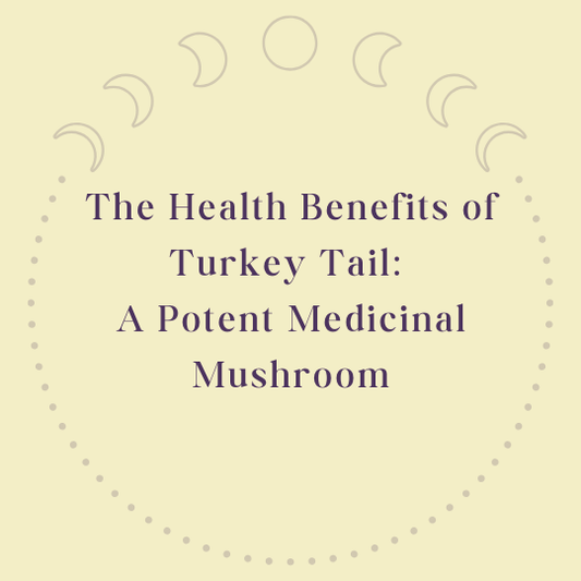 Turkey Tail Mushroom Benefits Blog Post