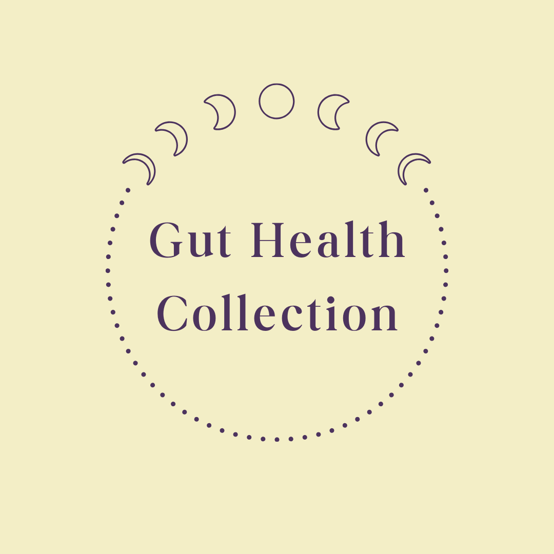 Journey Mushroom Tincture Gut Health 