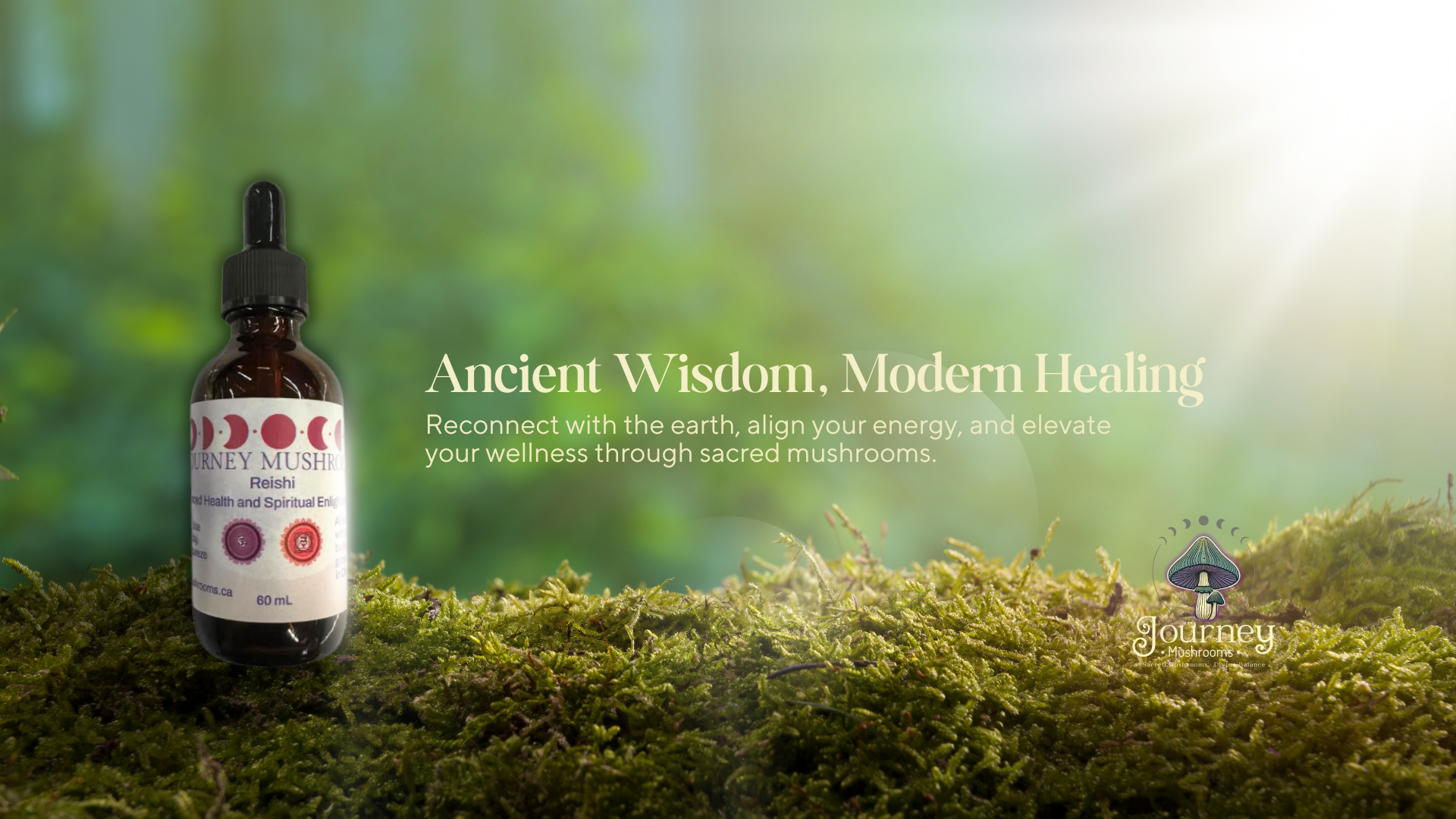 journey Mushroom tinctures Reishi blend