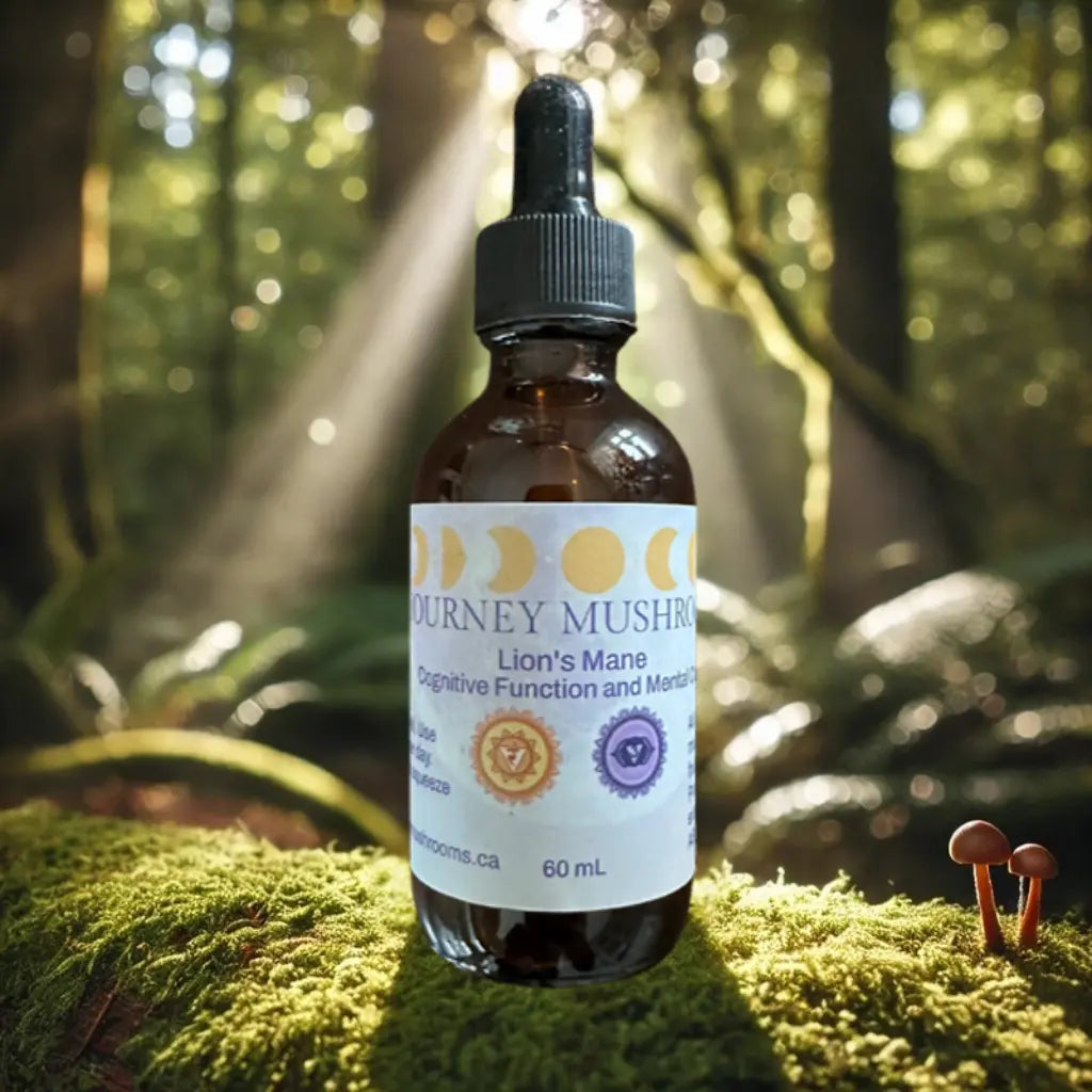 Chakra Balancing Bundle Mushroom Tinctures Journey Mushrooms