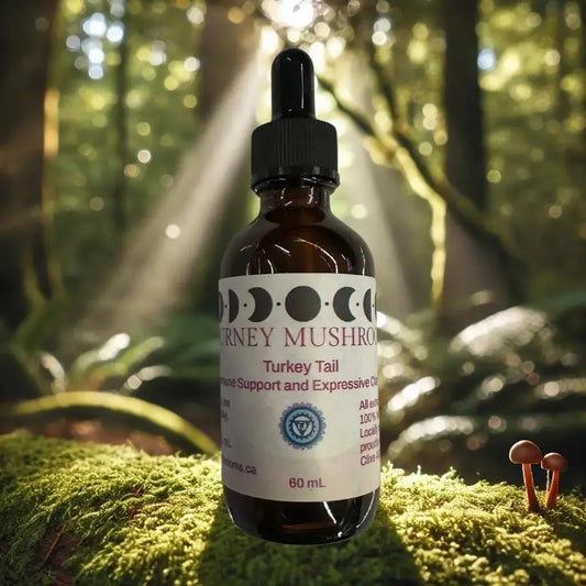 Chakra Balancing Bundle - Journey Mushrooms